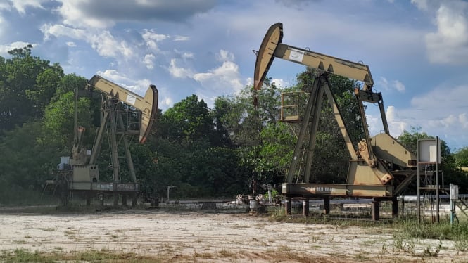 Pertamina Mampu Menyalip Chevron dengan Produksi 160 Ribu Barel Minyak Per Hari di Blok Rokan