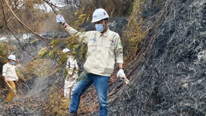 PLN IP Beraksi Cepat untuk Mendukung Penanganan Kebakaran Hutan dan Lahan di Tiga Provinsi