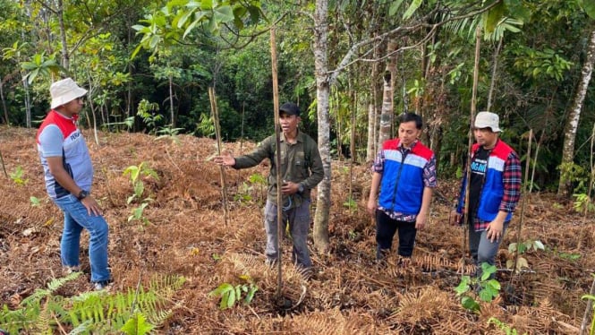 Pertamina berusaha memelihara hutan dengan mengembangkan program konservasi di Desa Kokolomboi