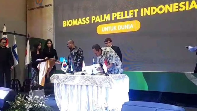 Potensi Pengembangan Pelet Kelapa Sawit sebagai Bahan Bakar di Indonesia disebut oleh Moeldoko