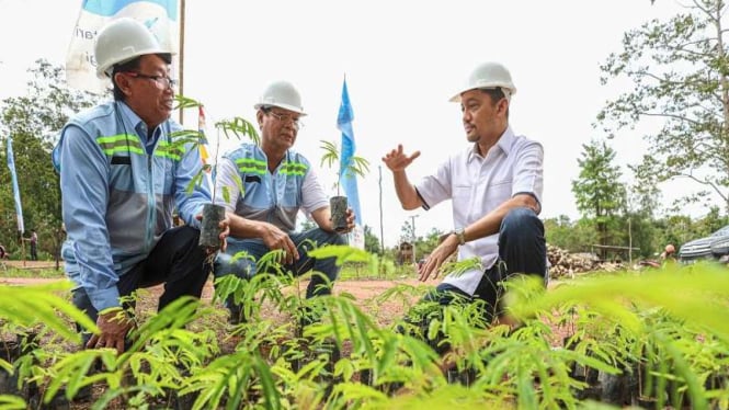 Tantangan Pengembangan Energi Terbarukan Berbasis Biomassa dari Bahan Baku