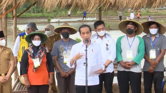 Jokowi Mengizinkan Petani Membeli Pupuk Subsidi dengan KTP saat Musim Tanam