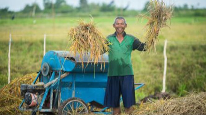 Pentingnya Prinsip Keberkeadilan dan Keberlanjutan dalam Pengembangan Industri Menurut Seorang Ekonom