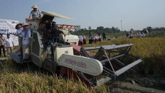 Pupuk Indonesia Rencanakan Penyediaan 1,7 Juta Ton Pupuk, Jamin Ketersediaan Hingga Akhir 2023