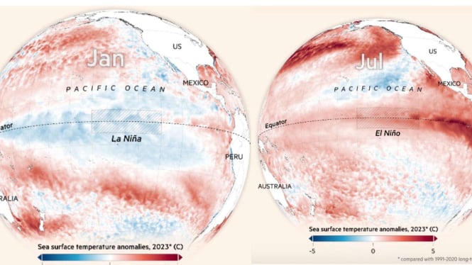 Strategi Mentan untuk Mengamankan Pasokan Beras Akibat Musim Tanam Mundur akibat El Nino