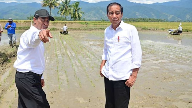 Impor Jagung Turun Drastis Menjadi 450 Ribu Ton Menurut Klaim Jokowi