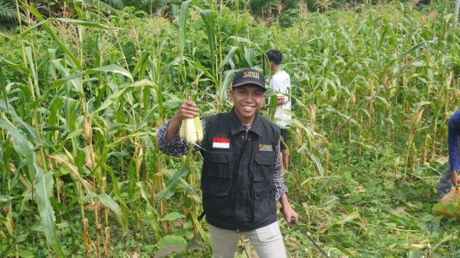 Cara Ponpes Raih Sukses Ekonomi dengan Tanam Jagung