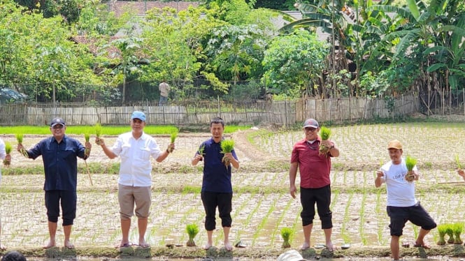 Panen Perdana Kalteng: Bukti Swasembada Pangan Terbukti