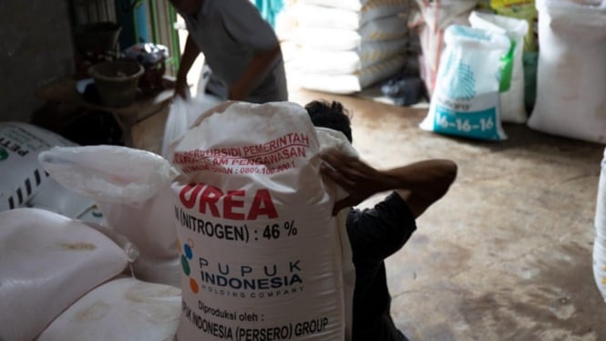 Komisi IV Ungkap Tugas Panja Pengawasan Pupuk Bersubsidi