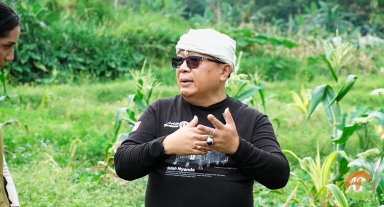 Arista Montana: Pioneering Agroforestry and Organic Farming for Sustainable Futures