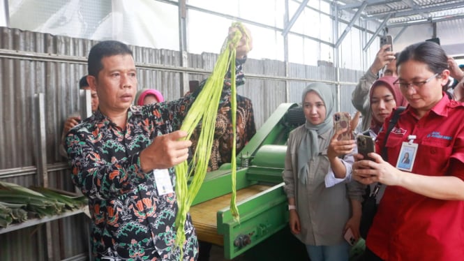 Studi Ke Prabumulih: Inovasi Serat Nanas dari Malaysia hingga Thailand