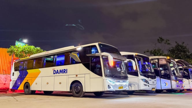 Naik Damri ke Bogor Hanya Rp 45 Ribu di Idul Adha 2025