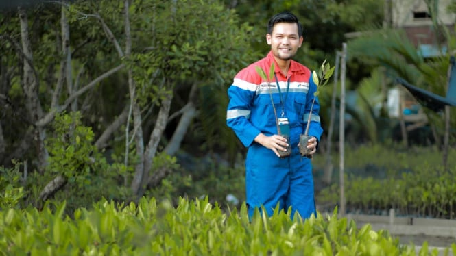 Pertamina Terlibat Aktif dalam Penjagaan Ekosistem Mangrove Kamal Muara
