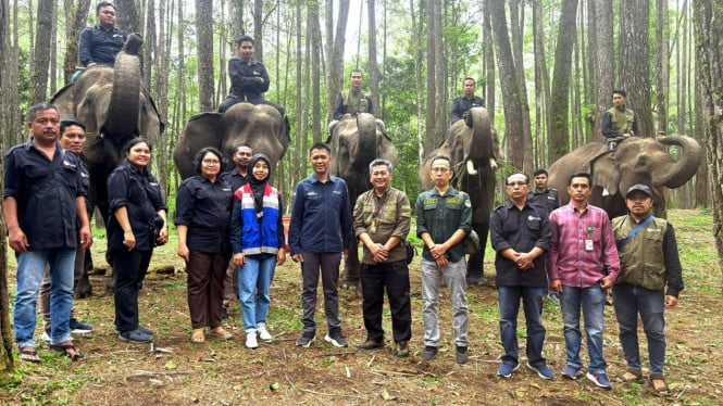 Pertamina Patra Niaga Dukung Konservasi Gajah Sumatera Demi Bisnis Berkelanjutan