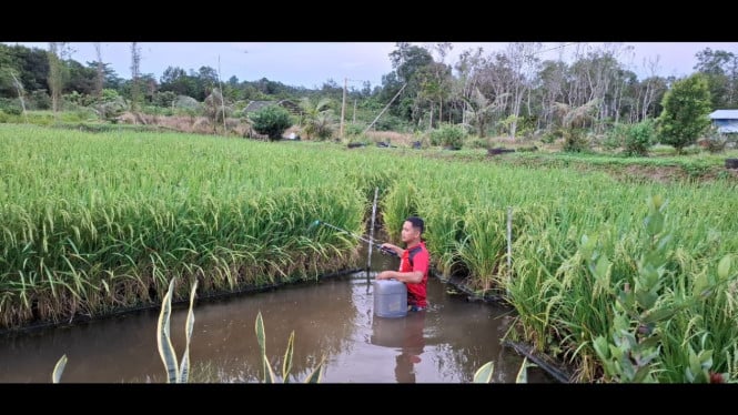 Pertamina Kembangkan 110 Inovasi untuk Ketahanan Energi dan Pangan