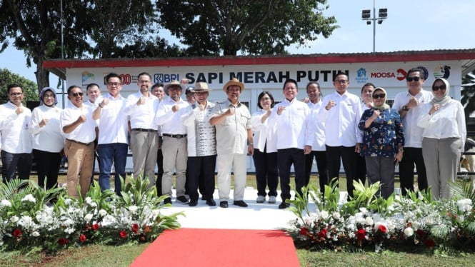 BRI Dukung Program Sapi Merah Putih untuk Swasembada Pangan Nasional