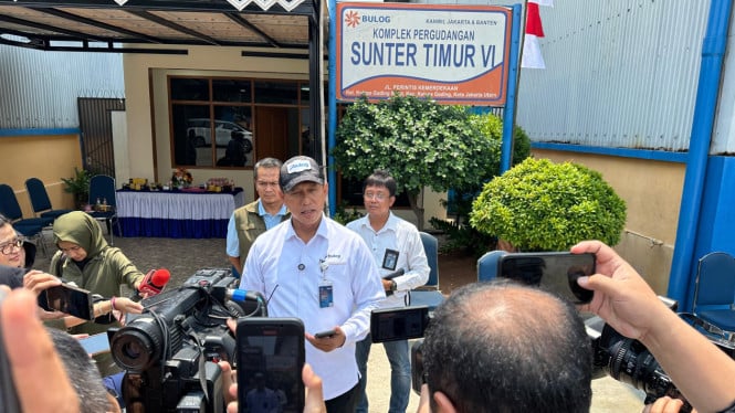 Peninjauan Kondisi Beras di Gudang BULOG: Analisis Terkini