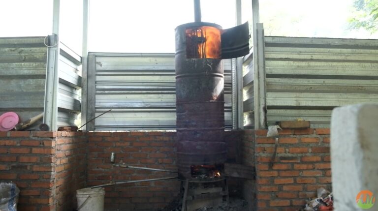 Peran Penting Karbon dalam Pertanian Organik Arista Montana